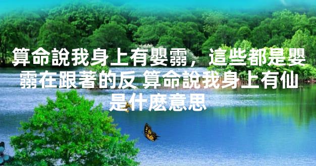算命說我身上有嬰霛，這些都是嬰霛在跟著的反 算命說我身上有仙是什麽意思